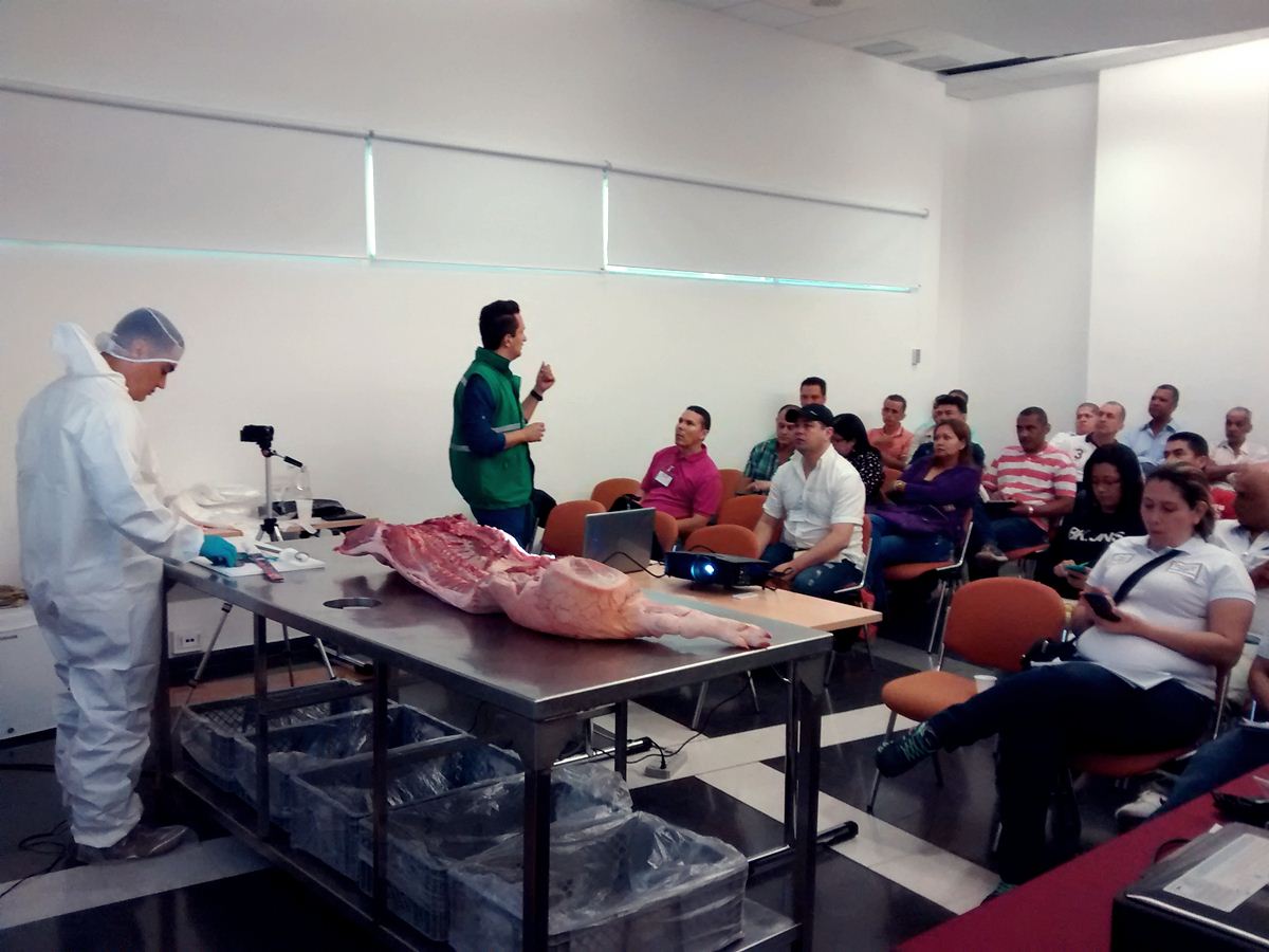 Proyecto: Taller para expendedores de carne - Gobernación de Antioquia.
