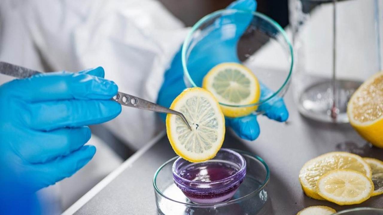 Curso Online BRC Food V8.
