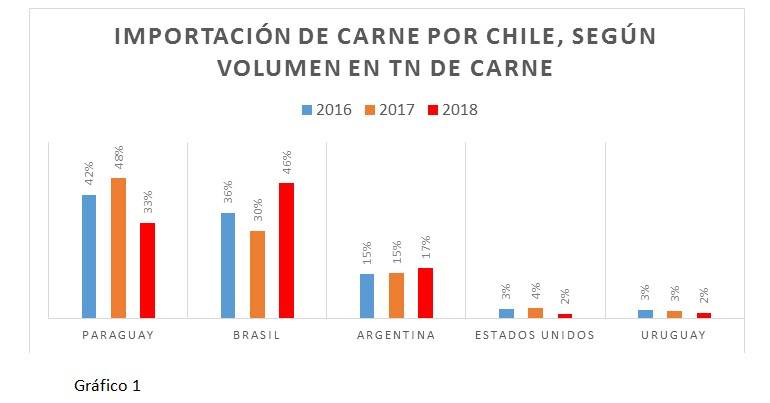 Gráfico 1: importación de carne por Chile.