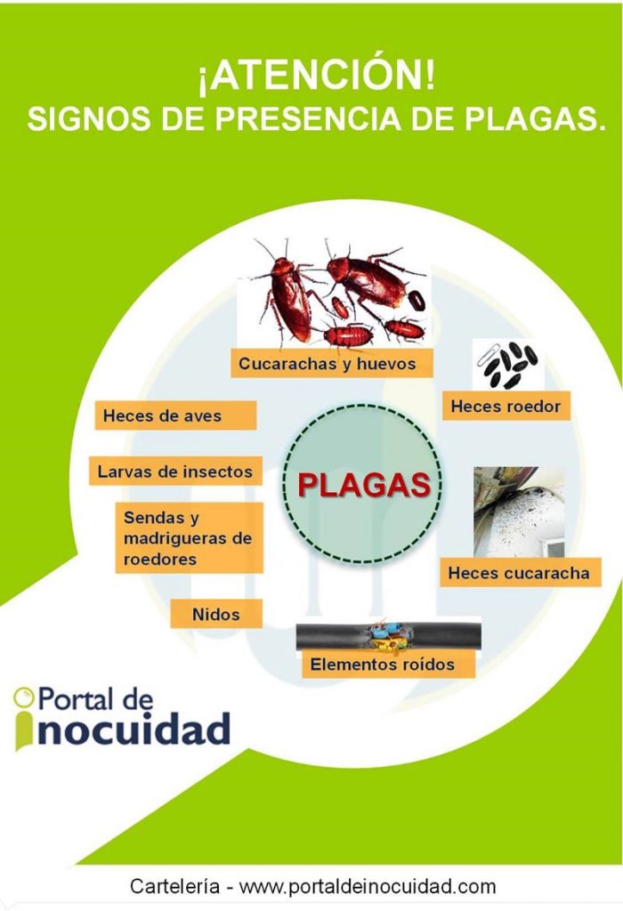 Signos de plagas dentro de una empresa.