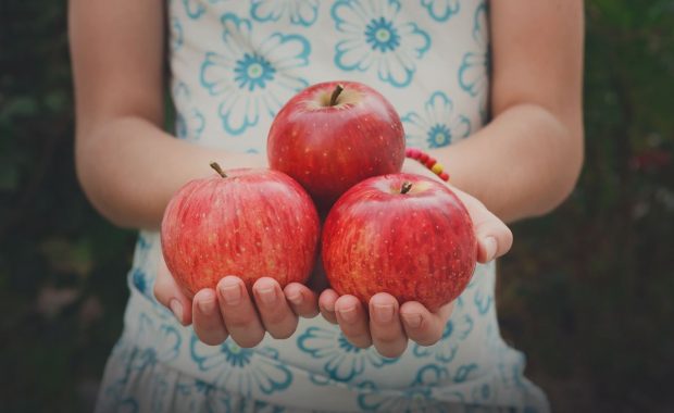 Día Mundial de la Alimentación 2019