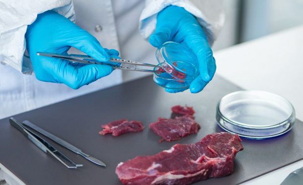 Planta de carne: falsificación de resultados de pruebas de E. coli