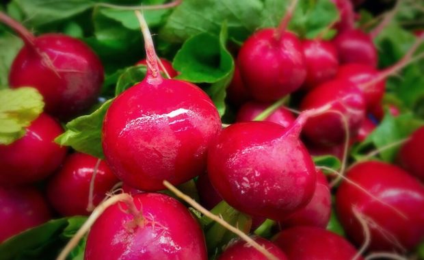 Hablando de higiene en la industria alimentaria