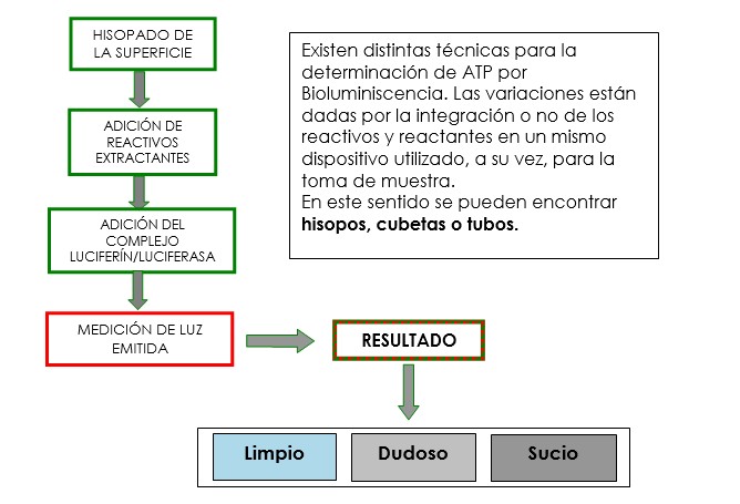 Bioluminiscencia. Gráfico 2.