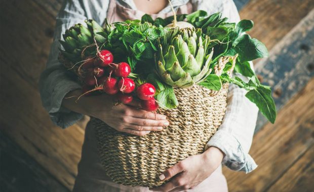 “Safer Food, Better Business”: comidas más seguras, mejores negocios