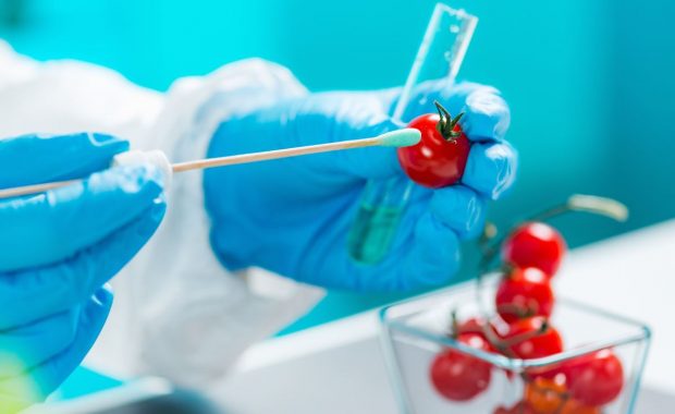 Curso Online: "Contaminantes Químicos en los Alimentos" [NUEVO]