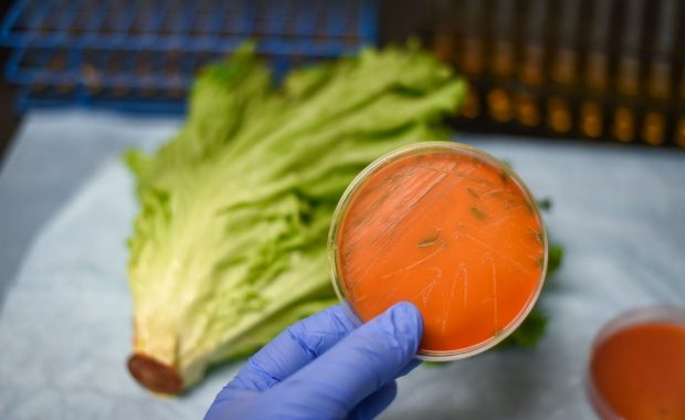 Listeria: ¿qué es y cómo prevenirla?