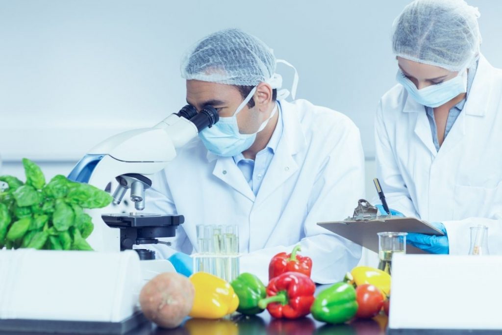 ¡Nuevo! Curso Microbiología en Alimentos