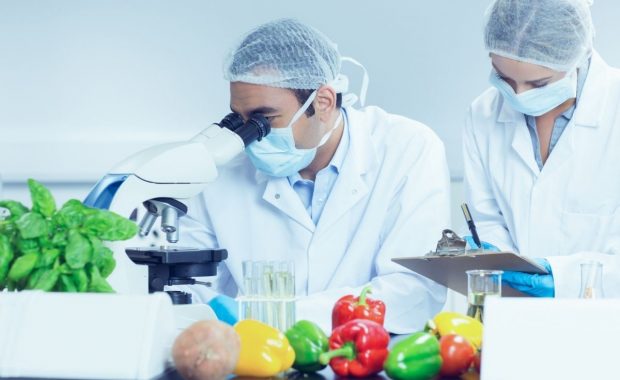 ¡Nuevo! Curso Microbiología en Alimentos