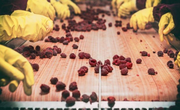 Tip sobre cultura de inocuidad alimentaria [video]