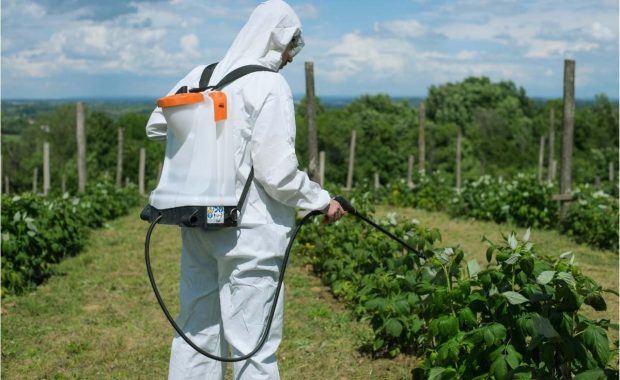 ¿Cómo auditar la evaluación de proveedores de agroquímicos?