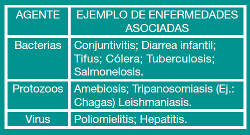 Plagas. Enfermedades asociadas.