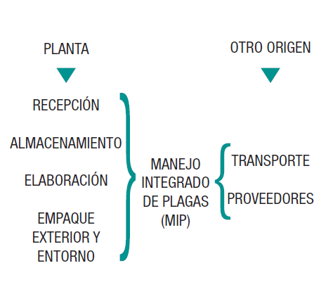 Plagas. Plantas elaboradas.