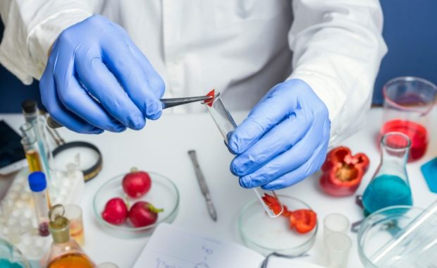 Sistemas de Gestión de Calidad en el sector agroalimentario: HACCP (I)