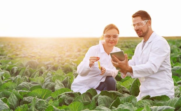 Ingeniería agrícola, mucho más de lo que te imaginas