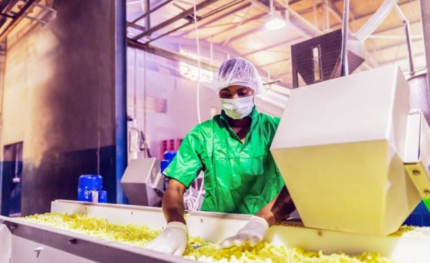 Sistemas de Gestión de Calidad en el sector agroalimentario: HACCP (II)