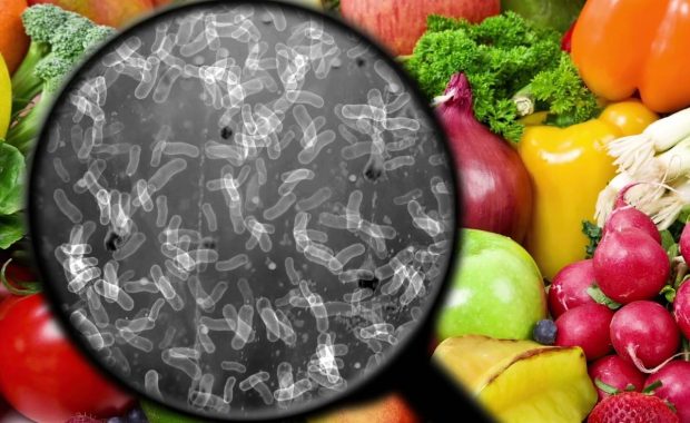 Control de microorganismos patógenos en sistemas de producción vegetal