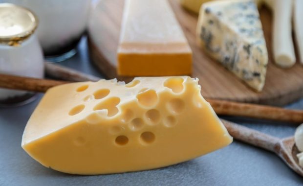 Fichas técnicas: quesos pasta dura, semidura y quesillo