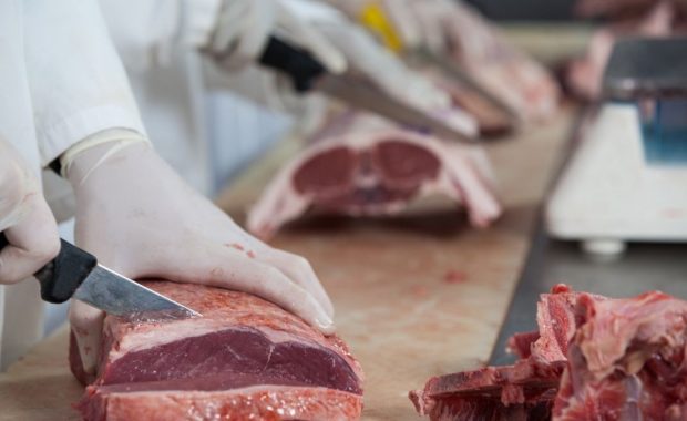 Carnes: aspectos indeseables de calidad frente al producto final [grabación]