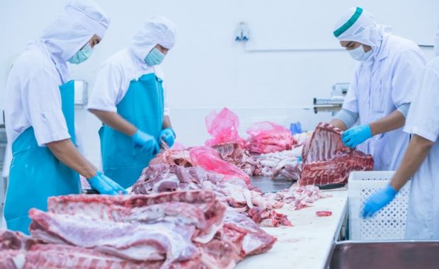 Carnes: aspectos indeseables de calidad frente al producto final [IGLive]