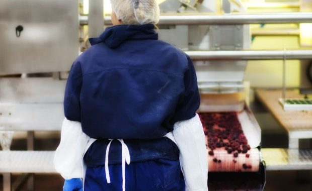 Cómo denunciar problemas de inocuidad alimentaria en nuestros propios ámbitos