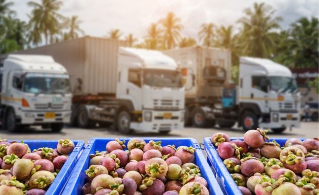 Proveedores en la industria de alimentos [grabación]