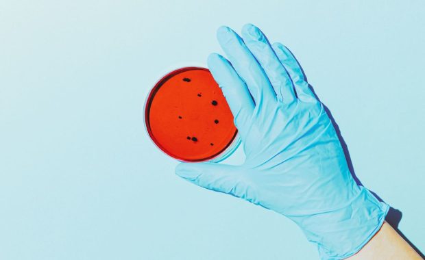 Tendencias en la microbiología aplicada a la industria de alimentos [grabación]