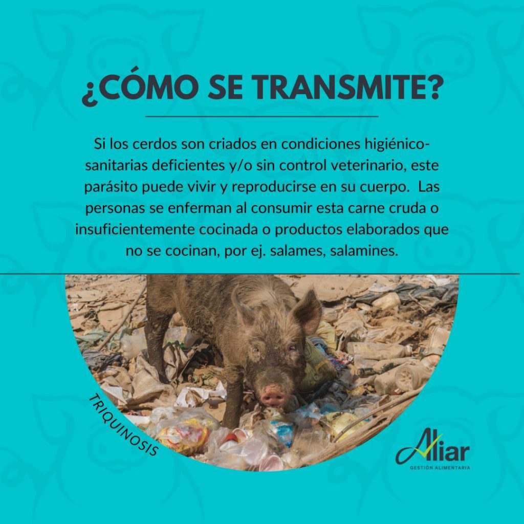 ¿Cómo se transmite?