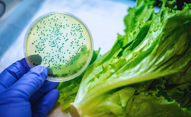 ¿Cómo controlar la contaminación microbiológica en frutas y vegetales?
