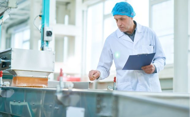 Etapas Clave para la Producción de Alimentos