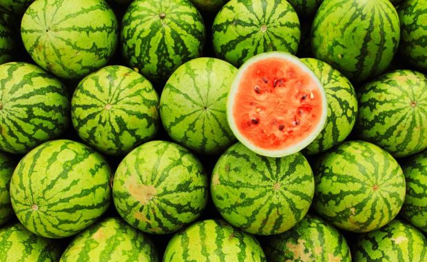 Tips sobre inocuidad alimentaria [julio 2025]