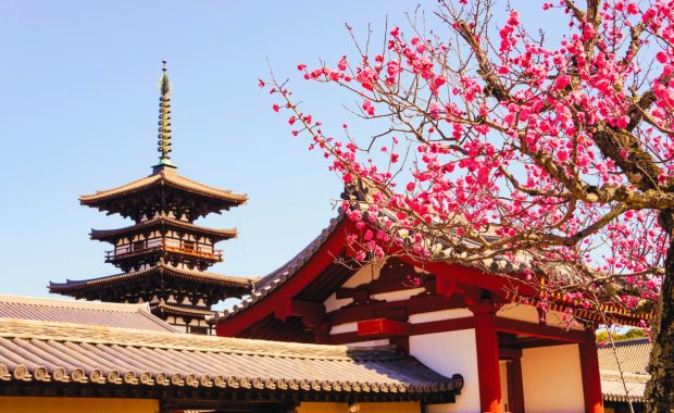 Metodología 5s. De Japón a la Argentina, traduciendo conceptos