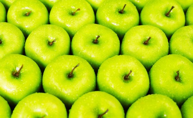 Tips sobre inocuidad alimentaria [octubre 2025]