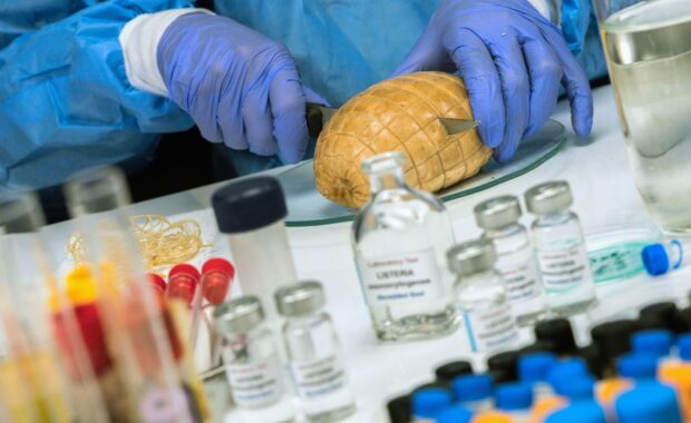 Superficies de contacto y Nichos: Donde las bacterias se esconden a plena vista