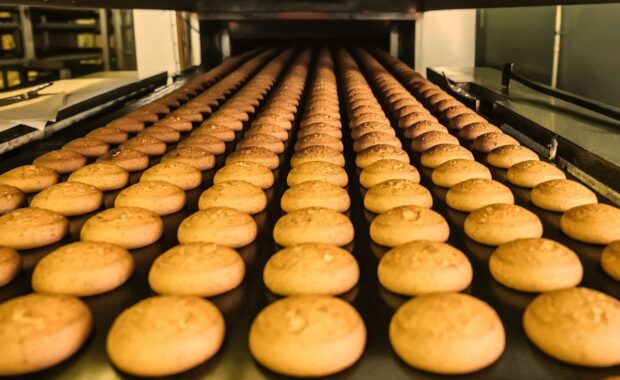Metodología 5S en Alimentos: El Orden como Prerrequisito de Inocuidad